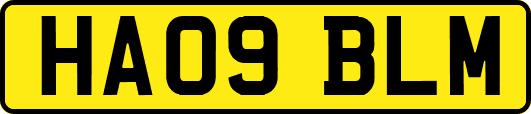 HA09BLM
