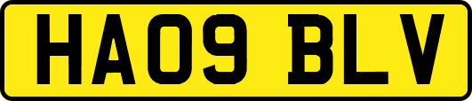HA09BLV