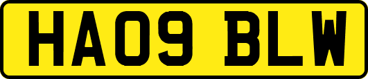 HA09BLW
