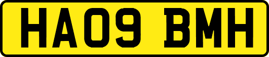 HA09BMH