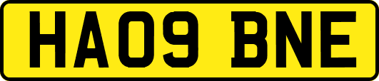 HA09BNE