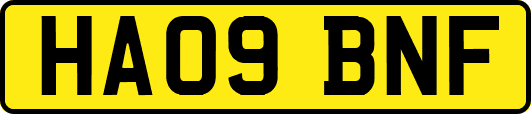HA09BNF