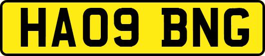 HA09BNG