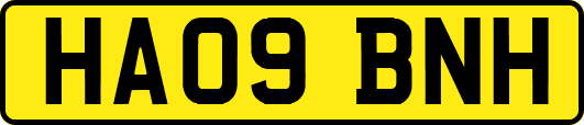 HA09BNH