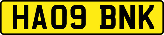 HA09BNK