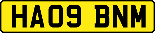 HA09BNM