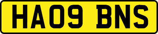 HA09BNS