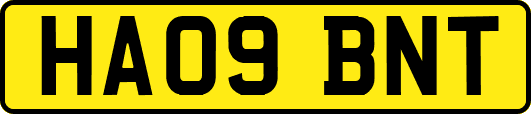HA09BNT