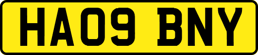 HA09BNY