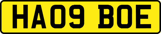 HA09BOE