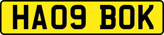 HA09BOK