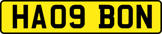 HA09BON