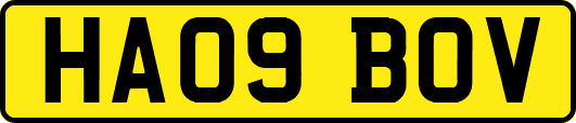 HA09BOV