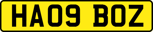 HA09BOZ
