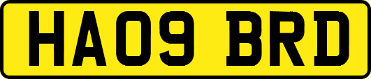 HA09BRD