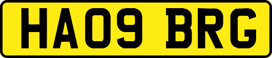 HA09BRG