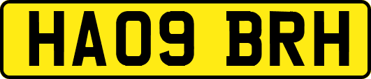 HA09BRH