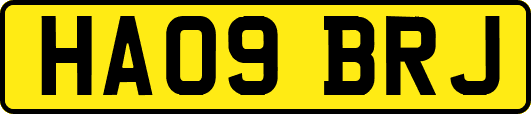 HA09BRJ