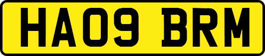 HA09BRM