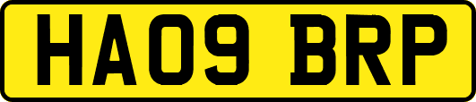 HA09BRP