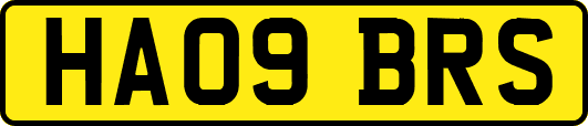 HA09BRS