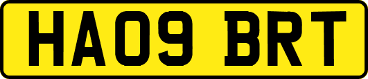 HA09BRT