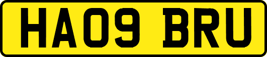 HA09BRU