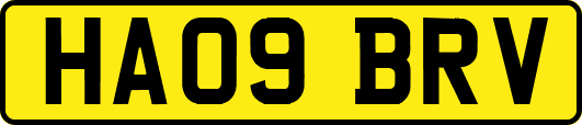 HA09BRV