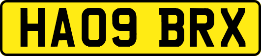 HA09BRX