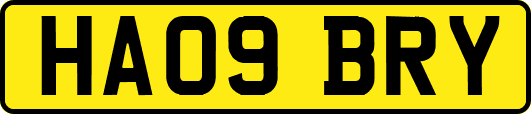 HA09BRY