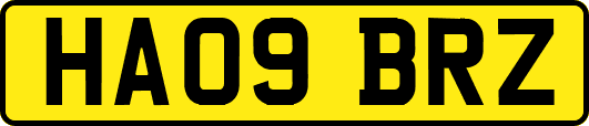 HA09BRZ