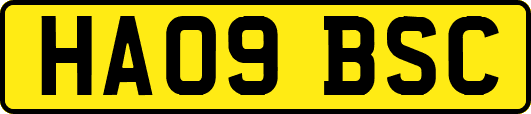 HA09BSC