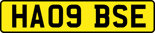 HA09BSE