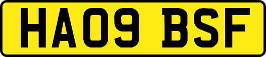 HA09BSF