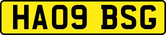 HA09BSG