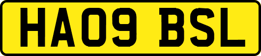 HA09BSL