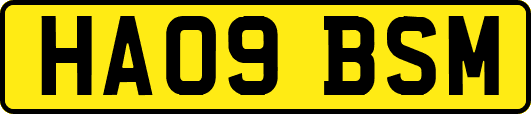 HA09BSM