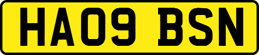 HA09BSN