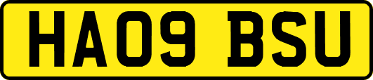 HA09BSU