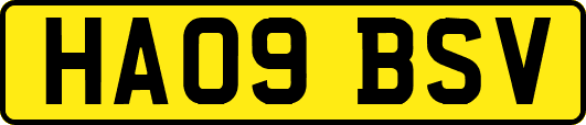 HA09BSV