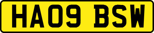 HA09BSW