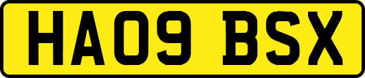 HA09BSX