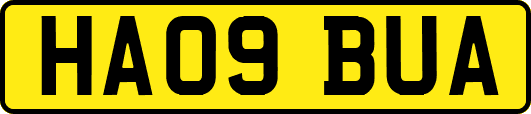 HA09BUA