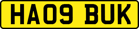 HA09BUK