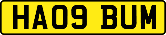 HA09BUM