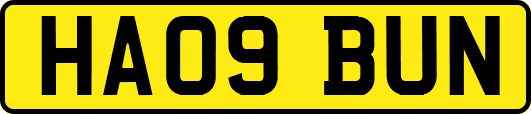 HA09BUN