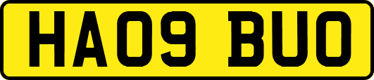 HA09BUO