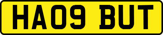 HA09BUT