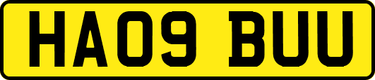 HA09BUU