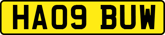 HA09BUW